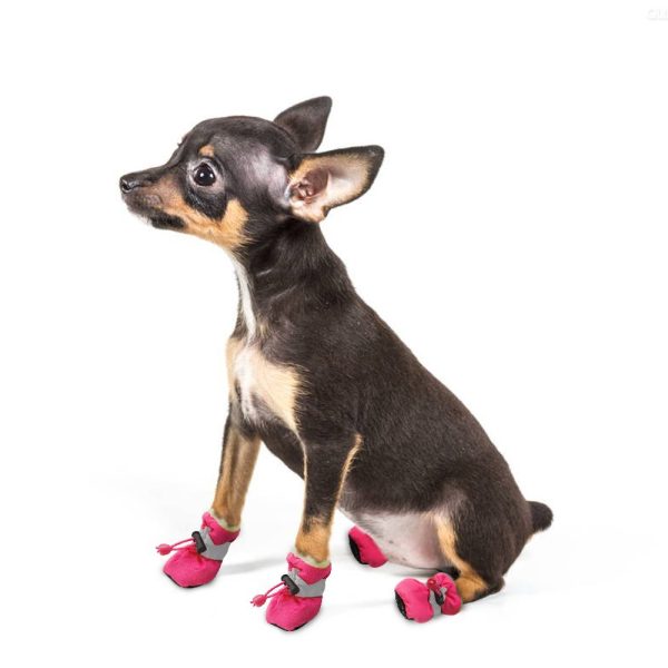 Waterproof Winter Shoes for Small Dogs and Puppies Set - Image 4